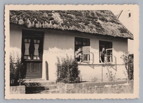 Holiday koserow usedom - holiday,